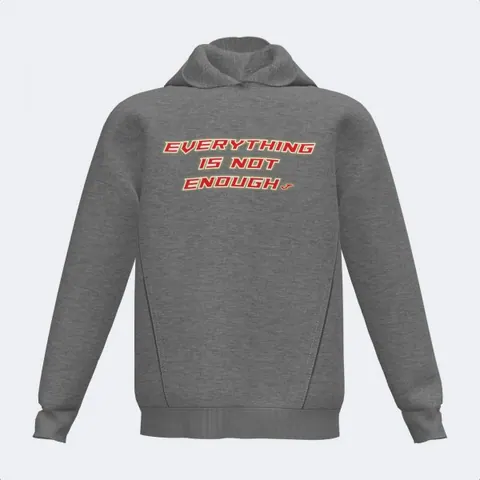 LION HOODED SWEATSHIRT · 500453